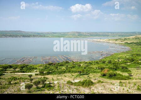 Miniere di sale a Katwe Crater Lake, Queen Elizabeth National Park, Uganda, Africa Foto Stock