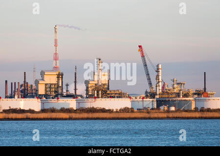 Una grande raffineria di petrolio con serbatoi di olio nel porto di Anversa, Belgio con una calda luce della sera. Foto Stock