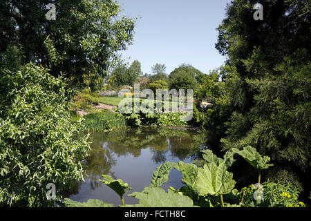 Laghetto in giardino a RHS HYDE HALL ESSEX REGNO UNITO. Foto Stock