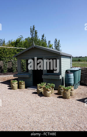 Giardino in legno VERSATO SULLA BASE DI GHIAIA Foto Stock