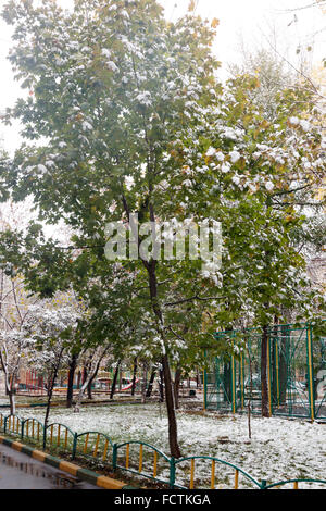 Verde acero nella città cantiere sotto la prima neve Foto Stock