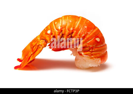 Cucinato tropicali dei Caraibi ( Bahamas ) aragosta (Panuliirus argus) o aragosta isolato di coda su una bianca di sfondo per studio. Foto Stock