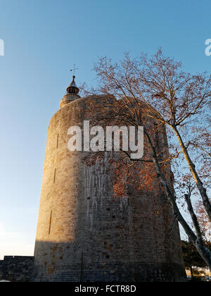 Di Aigues-Mortes. Petite Camargue, Gard, Languedoc-Roussillon, Francia Foto Stock