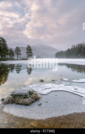 Lochan Eilein a metà inverno il loch è ghiacciato. Foto Stock