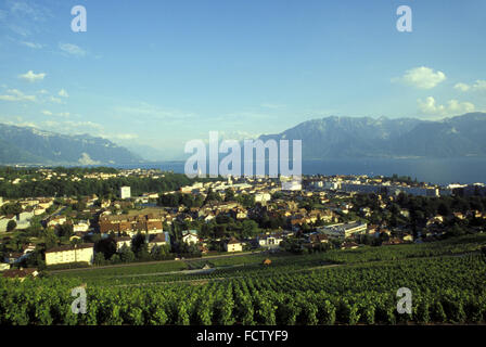 CHE, Svizzera, vista di Vevey sul Lago di Ginevra. CHE, Schweiz, Blick ueber Vevey am Genfer vedere. Foto Stock