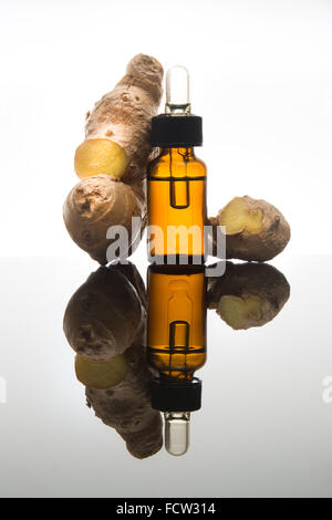 Lo zenzero olio essenziale nel flacone color ambra con zenzero fresco e dropper Foto Stock