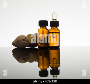 Lo zenzero olio essenziale nel flacone color ambra con zenzero fresco e dropper Foto Stock