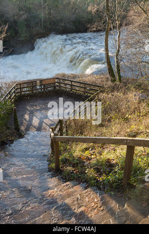 Passi per Aysgarth acqua cade in Wensleydale Foto Stock