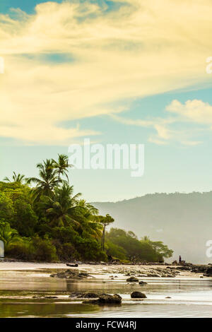 Alte palme e jungle dietro la spiaggia in questo popolare sud Penisola di Nicoya resort; Santa Teresa, Puntarenas, Costa Rica Foto Stock