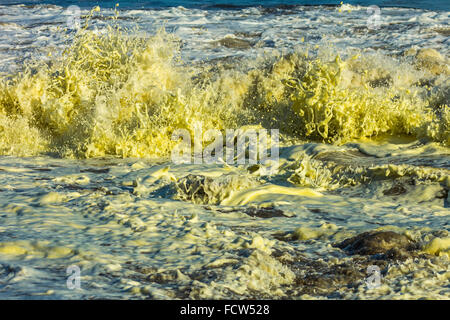 Surf & giallo fioritura algale sulla spiaggia di Montezuma presso questo resort sulla penisola di Nicoya's se punta; Montezuma, Puntarenas, Costa Rica Foto Stock