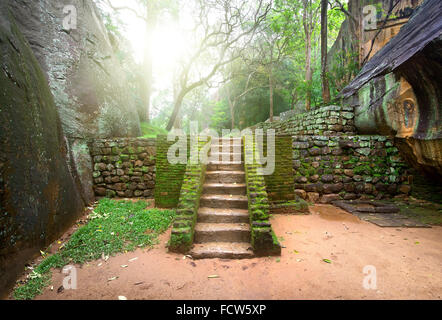 Antica scala coperta con moss in Sigiriya nello Sri Lanka Foto Stock