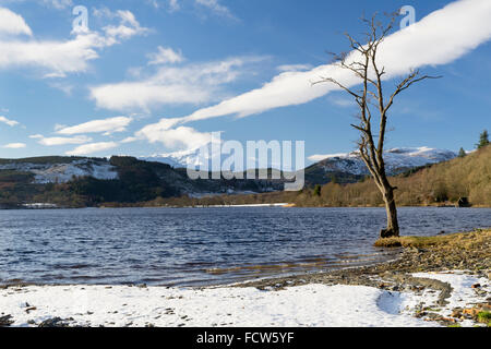 Ben Lomond e Loch Ard, Aberfoyle, Il Trossachs, Scozia, durante l'inverno. Foto Stock