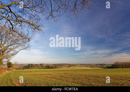 Vista sul Fiume Stour valley in Suffolk,UK. Una zona resa famosa da artista John Constable. Foto Stock