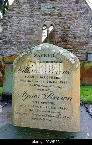 Alloway, Ayrshire, Regno Unito. 25 gennaio, 2016. Per celebrare il 257th compleanno di Robert Burns, il famoso xviii secolo Scot Bard, il suo cottage a Alloway in Ayrshire è stata decorata a guardare come un regalo di compleanno. Il cottage, Alloway sagrato e il vicino museo sono le principali attrazioni turistiche e durante le feste di compleanno e gli eventi speciali e brucia cene' sono tenute al cottage. Credito: Findlay/Alamy Live News Foto Stock