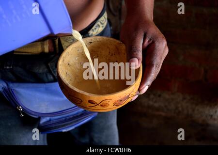 Chicha de Jora - mais fermentato- casa tipici in CATACAOS. Dipartimento di Piura .PERÙ Foto Stock