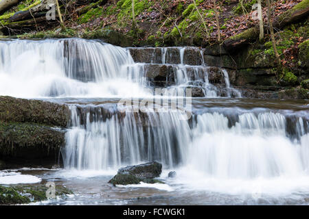 Piani di biancheria da letto nella parte inferiore della forza Scaleber cascata, Settle, Yorkshire Dales National Park, England, Regno Unito, Gennaio 2016 Foto Stock