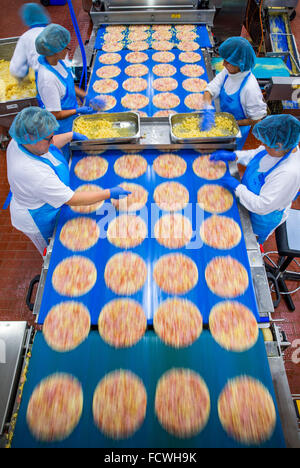 Wittenburg, Germania. 08 Dic, 2015. I dipendenti di aggiungere pezzi di ananas per pizze surgelate in corrispondenza di una linea di produzione della pizza impianto del produttore di alimenti Dr. Oetker a Wittenburg, Germania, 08 dicembre 2015. In base alle proprie informazioni, la società con i suoi 900 dipendenti è uno dei più grandi datori di lavoro dello Stato tedesco Meclemburgo-Pomerania occidentale. Foto: Jens BUETTNER/dpa/Alamy Live News Foto Stock