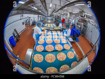 Wittenburg, Germania. 08 Dic, 2015. I dipendenti di aggiungere pezzi di ananas per pizze surgelate in corrispondenza di una linea di produzione della pizza impianto del produttore di alimenti Dr. Oetker a Wittenburg, Germania, 08 dicembre 2015. In base alle proprie informazioni, la società con i suoi 900 dipendenti è uno dei più grandi datori di lavoro dello Stato tedesco Meclemburgo-Pomerania occidentale. Foto: Jens BUETTNER/dpa/Alamy Live News Foto Stock