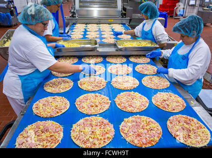 Wittenburg, Germania. 08 Dic, 2015. I dipendenti di aggiungere pezzi di ananas per pizze surgelate in corrispondenza di una linea di produzione della pizza impianto del produttore di alimenti Dr. Oetker a Wittenburg, Germania, 08 dicembre 2015. In base alle proprie informazioni, la società con i suoi 900 dipendenti è uno dei più grandi datori di lavoro dello Stato tedesco Meclemburgo-Pomerania occidentale. Foto: Jens BUETTNER/dpa/Alamy Live News Foto Stock