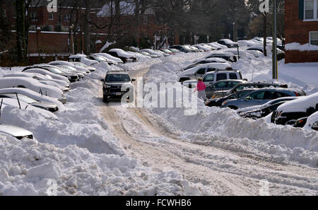 Washington, DC, Stati Uniti d'America. 25 gennaio, 2016. I veicoli sono sepolti nella neve in Arlington, Virginia, Stati Uniti, 25 gennaio, 2016. I residenti hanno cominciato a pala il loro modo di neve dopo il vicino-record nevicata che ricopriva la U.S. Costa est. © Yin Bogu/Xinhua/Alamy Live News Foto Stock