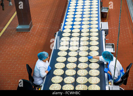 Wittenburg, Germania. 08 Dic, 2015. I dipendenti ispezionare le guarnizioni per pizze surgelate in corrispondenza di una linea di produzione della pizza impianto del produttore di alimenti Dr. Oetker a Wittenburg, Germania, 08 dicembre 2015. In base alle proprie informazioni, la società con i suoi 900 dipendenti è uno dei più grandi datori di lavoro dello Stato tedesco Meclemburgo-Pomerania occidentale. Foto: Jens BUETTNER/dpa/Alamy Live News Foto Stock