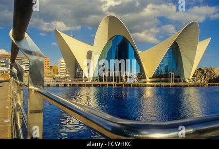 Oceanografo da Félix Candela, nella Città delle Arti e delle Scienze da S. Calatrava. Valencia. Spagna Foto Stock