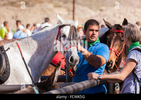 Cavalieri e cavalli nel recinto per bestiame al San Sebastian fiesta, La Caleta, Costa Adeje, Tenerife, Isole Canarie, Spagna. Foto Stock