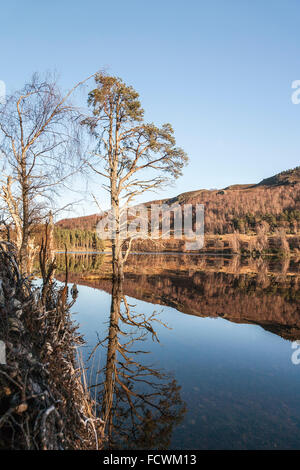 Loch Pityoulish nel Parco Nazionale di Cairngorms della Scozia. Foto Stock