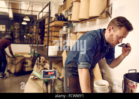 Titolare di azienda controllo dell'aroma di caffè tostato bean Foto Stock