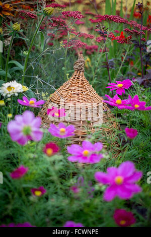 Giardino dettaglio da RHS Tatton Show 2015 Foto Stock