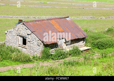 Il vecchio fienile in pietra con un tetto di ruggine in un campo nei pressi di Castleton, Derbyshire, Peak District, England, Regno Unito Foto Stock