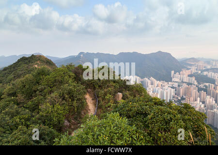 Vista di Lion Rock Country Park e nuovo Kowloon in Hong Kong dal di sopra dal Lion Rock in Hong Kong, Cina. Foto Stock