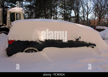 Jonas tempesta di neve seppellisce auto prospect park Foto Stock
