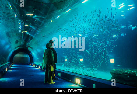 Tunnel sottomarino di 38 metri in oceani area,i visitatori godere la vita marina,Oceanografo da Félix Candela,nella Città delle Arti e delle Scien Foto Stock