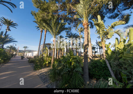 Giardini a Hacienda Riquelme Foto Stock