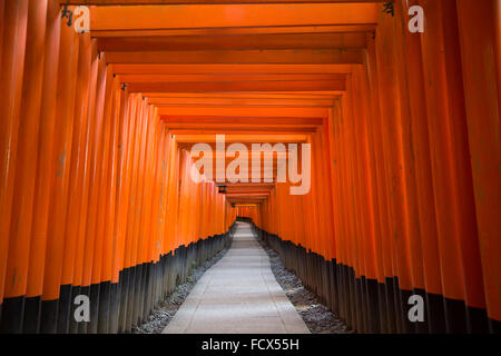 Lo Shintoismo giapponese tempio di Kyoto - Fushimi Inari Santuario (Fushimi Inari Taisha) Foto Stock