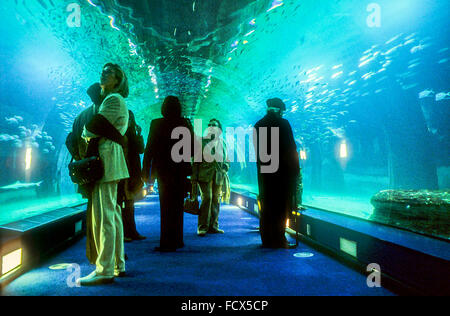 Tunnel sottomarino di 38 metri in oceani area,i visitatori godere la vita marina,Oceanografo da Félix Candela,nella Città delle Arti e delle Scien Foto Stock