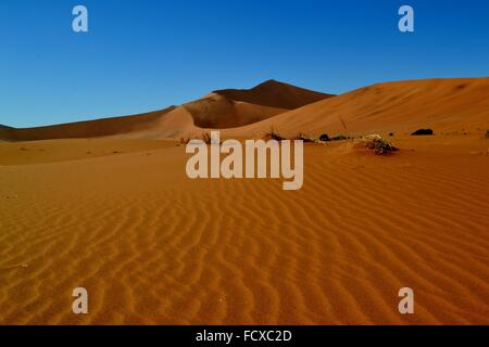 Il paesaggio del deserto a Sossusvlei, Namibia, Africa Foto Stock