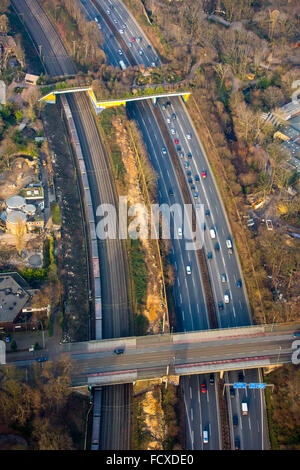 Vista aerea, autostrada A3 a sud di espansione dell'interscambio autostradale Kaiserberg, Spaghetti nodo, tagliando gli alberi Foto Stock
