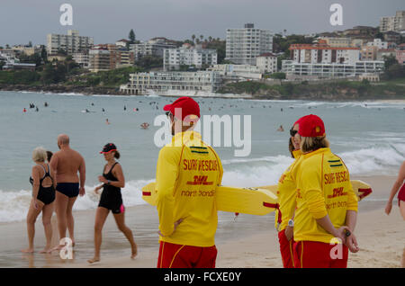 La spiaggia di Bondi, Sydney, Australia. 26 gen, 2016: Australia Giorno, 08.00 e già la spiaggia è il deposito fino a nuotatori e scheda piloti. Nonostante il previsto tempo piovoso, volontario Surf Lifesavers nel loro carattere distintivo di rosso e di giallo abiti sarà tenuto occupato oggi la gestione e la sicurezza di una grande folla che arriveranno sulla spiaggia a questa festa nazionale. La spiaggia di Bondi è di Australias della spiaggia più famosa riproduzione di host a una recente realtà surf rescue serie televisiva e un numero stimato di 5 milioni di visitatori ogni anno Credito: Sydney fotografo/Alamy Live News Foto Stock