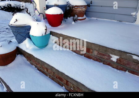 Fasi della porta e vasi di fiori coperto di neve dopo la tempesta di neve Jonas, Costa Orientale degli Stati Uniti Foto Stock