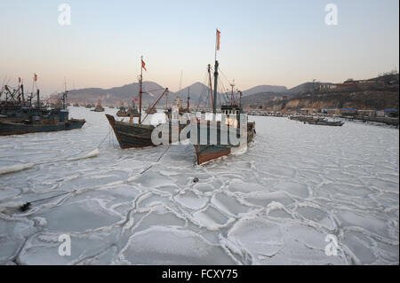 Yantai. 26 gen, 2016. Foto scattata a gennaio 26, 2016 mostra barche da pesca intrappolati nel mare di ghiaccio in un porto di Xikou villaggio nella città di Yantai, est della Cina di Provincia dello Shandong. Sotto l'influenza di una forte ondata di freddo, mare di ghiaccio è comparso intorno al mare di Yantai area e interessati al trasporto marittimo. Credito: Chu Yang/Xinhua/Alamy Live News Foto Stock