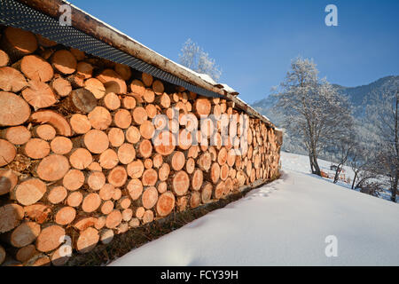 Paesaggio invernale con legna da ardere di fronte a un vecchio fienile, Pitztal Alpi - Tirolo Austria Foto Stock