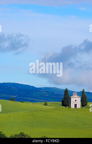 Val d'Orcia. Val d'Orcia. UNESCO - Sito Patrimonio dell'umanità. Cappella di Vitaleta. Cappella di Vitaleta. Pienza. In provincia di Siena. Toscana. Ho Foto Stock