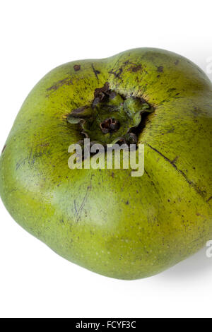 Neri freschi frutti sapote su sfondo bianco Foto Stock