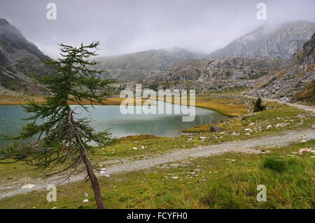 Cornisello vedere in den Dolomiten - Cornisello lago nelle Dolomiti, le Alpi Foto Stock