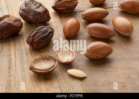 Marocchino dadi argan e nutshells Foto Stock