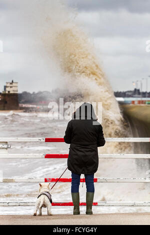 New Brighton, Birkenhead, Liverpool, Regno Unito. Il 26 gennaio 2016. Regno Unito meteo. Alta onde infrangersi contro il mare difese a Birkenhead Marina, Regno Unito Foto Stock