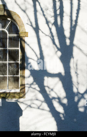 Ombra ad albero sul lato di una casa scozzese. Scozia Foto Stock