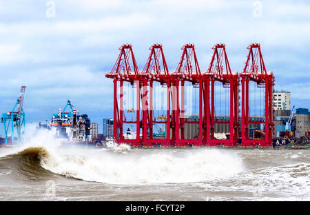 New Brighton, Birkenhead, Liverpool, Regno Unito. Il 26 gennaio 2016. Regno Unito meteo. Alta onde infrangersi contro il mare difese a Birkenhead Foto Stock